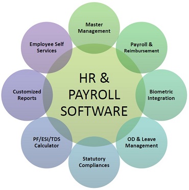 Transforming Workforce Management with HR Payroll Software